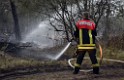 Waldbrand Wahner Heide Troisdorf Eisenweg P477